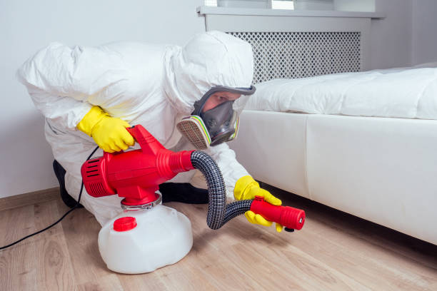 Best Fumigation Services  in Jeanerette, LA